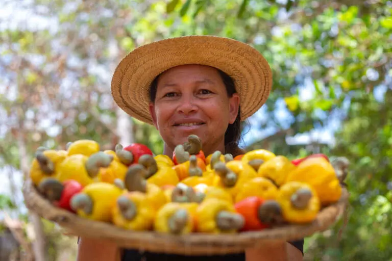 Desenvolvimento Agrário: SDA coordenará política de centralização de compras de alimentos da agricultura familiar no Ceará
